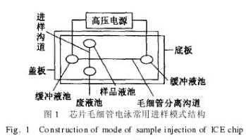 芯片毛細管電泳常用進樣模式結構