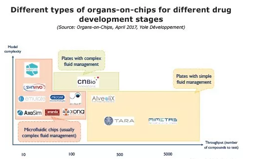不同類型的器官芯片技術(shù)在不同的藥物研發(fā)階段所發(fā)揮的功能