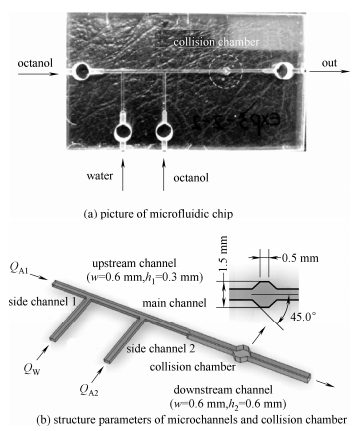 圖1微流控芯片與結構參數(shù)