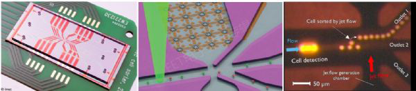 芯片上的微流體通道內進行細胞分選的圖片