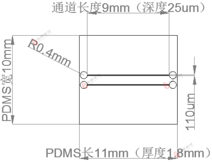 芯片通道結(jié)構(gòu)示意圖