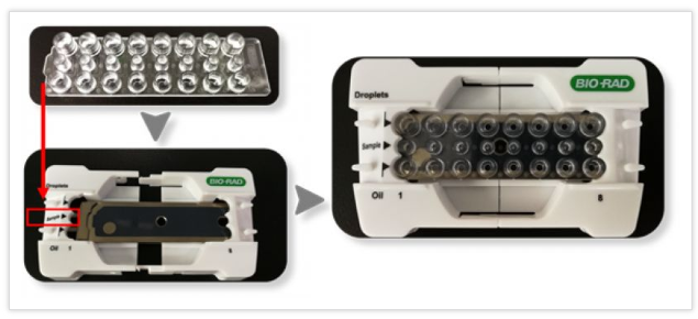 將8孔微滴生成板打開包裝，安裝到支架上，注意微滴生成板的方向與支架上標記方向一致