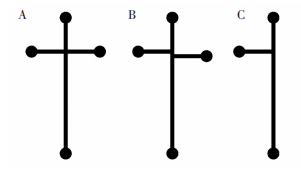 圖63種不同的微芯片通道結構:(A)十字交叉結構;(B)Double-T交叉結構;(C)T型結構