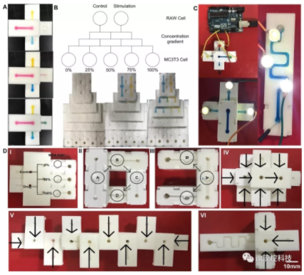 圖3.幾種典型的芯片模塊
