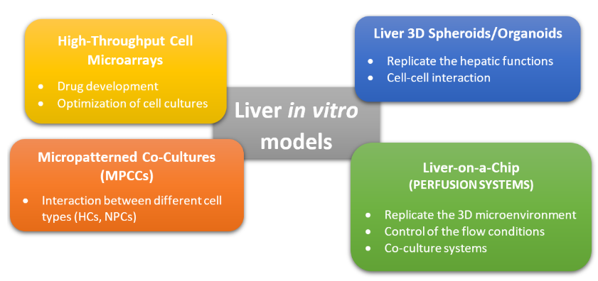 圖2.肝臟體外模型的常用方法的圖形表示。這些方法可分為非灌注系統(tǒng)（MPCC，3D球體）和灌注系統(tǒng)（肝臟上芯片），而高通量細胞微陣列通常用于藥物篩選和開發(fā)[2] [10]。