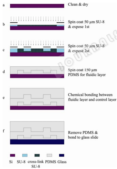 圖 2 微流控芯片的制作工藝流程