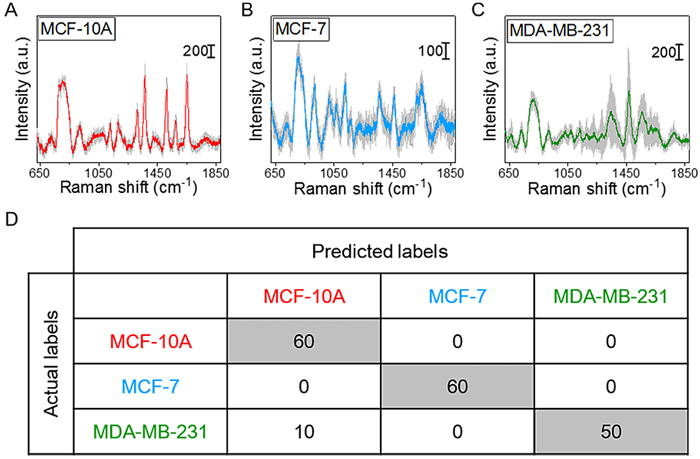 基于軟管微流控的動態(tài)流體SERS平臺用于無標(biāo)記細胞檢測 基于軟管微流控的動態(tài)流體SERS平臺用于無標(biāo)記細胞檢測