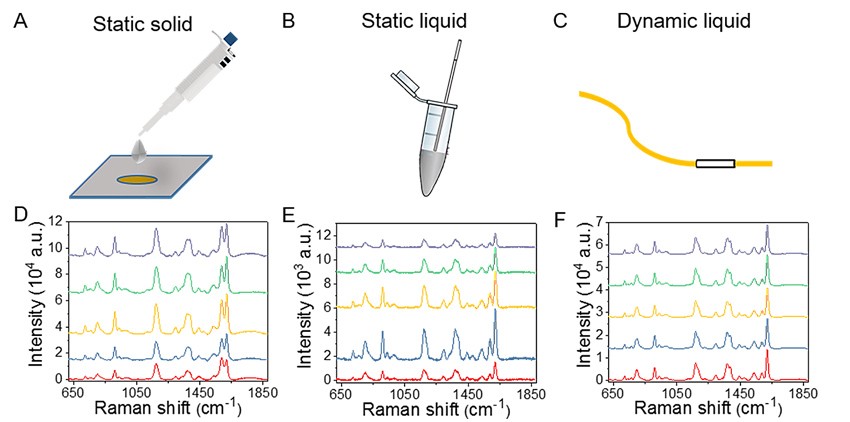基于軟管微流控的動態(tài)流體SERS平臺用于無標(biāo)記細胞檢測