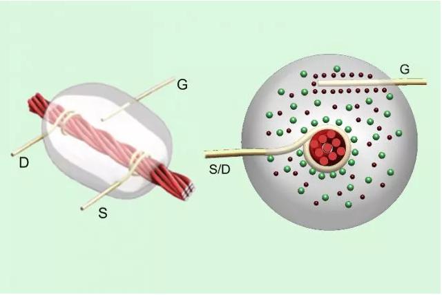 線基晶體管:碳納米管涂覆的亞麻線在源極(S)和漏極(D)金屬線之間攜帶電流,以響應柵極(G)檢測到的電壓。 線基晶體管:碳納米管涂覆的亞麻線在源極(S)和漏極(D)金屬線之間攜帶電流,以響應柵極(G)檢測到的電壓。