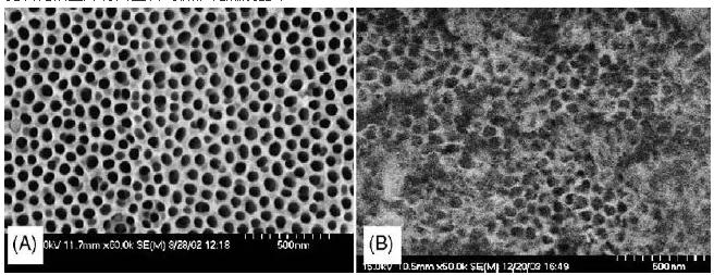 圖2. 陽極氧化微反應器的表面形態:(A)未水熱處理,(B)水熱處理后 圖2. 陽極氧化微反應器的表面形態:(A)未水熱處理,(B)水熱處理后