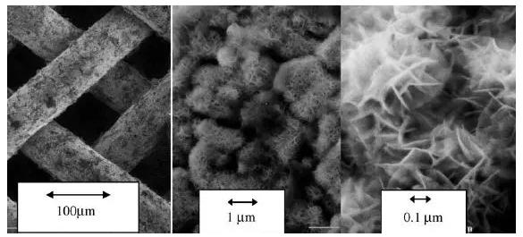 圖8. 具有Raney型外表面的不同放大倍數的鎳柵催化劑的SEM圖像 圖8. 具有Raney型外表面的不同放大倍數的鎳柵催化劑的SEM圖像