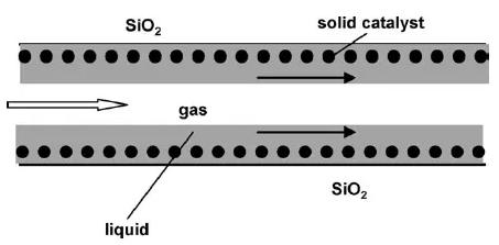 圖14. 多相反應裝置 圖14. 多相反應裝置