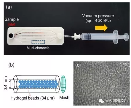 圖1 （a）實驗裝置；（b）微珠填充微通道的示意圖；（c）微珠填充微通道內顯微鏡圖像。