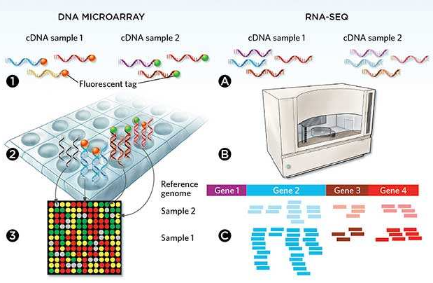 微流控自動化技術(shù)革新RNA-Seq文庫構(gòu)建流程 --- FLUIDIGM發(fā)布更高效、更節(jié)約成本的Advanta RNA-Seq NGS 文庫構(gòu)建解決方案