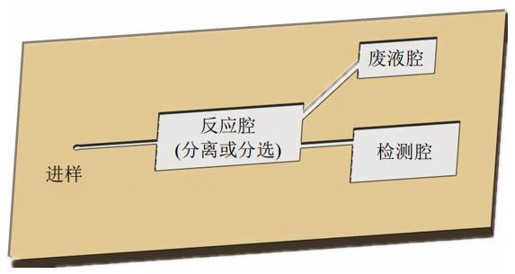圖1微流控芯片結構示意圖 圖1微流控芯片結構示意圖