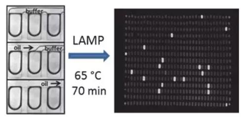 1587952621262442.jpg 4.jpg