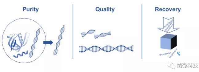 如何評估磁珠法提取核酸的效果？ 