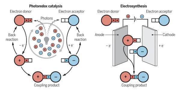 微流體電催化平臺,成功實現合成自由基化學應用大突破 微流體電催化平臺,成功實現合成自由基化學應用大突破