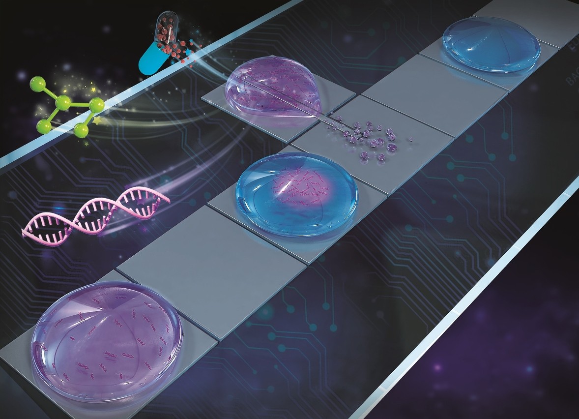 高壓交流電場的驅動下定向噴射出的“衛(wèi)星液滴” 高壓交流電場的驅動下定向噴射出的“衛(wèi)星液滴”