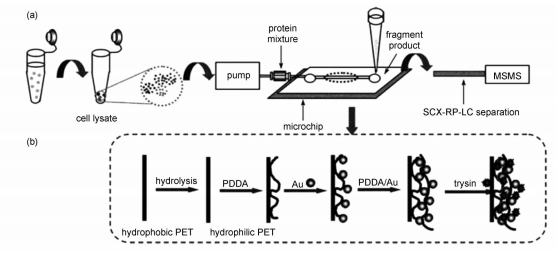 微反應(yīng)器.jpg 微反應(yīng)器.jpg