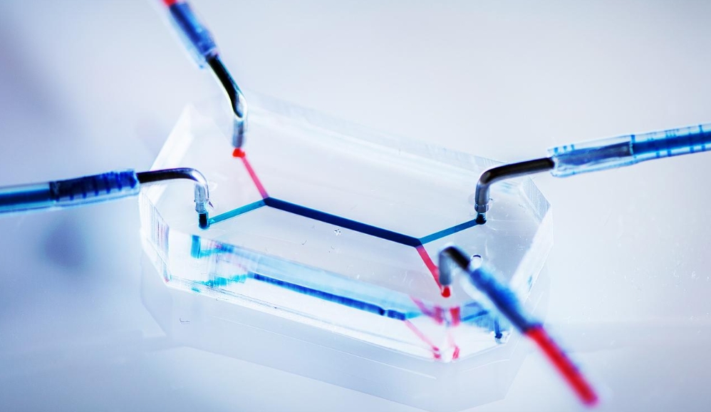 1716427542713005.png 1716427542713005.png