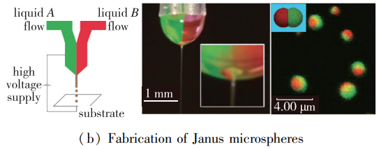 1718160318691484.png 圖片8.png