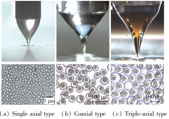 1718160346123195.png 圖片11.png